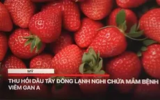 Mỹ thu hồi dâu tây đông lạnh chứa mầm bệnh viêm gan A