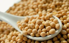 Kiến nghị giảm thuế nhập khẩu khô đậu tương
