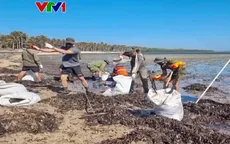 Dầu loang đe dọa khu bảo tồn biển của Philippines
