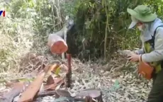 Khẩn trương điều tra, xử lý vụ khai thác gỗ giữa rừng phòng hộ