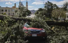 Bão hoành hành ở bang California: 5 người tử vong do cây đổ ở vùng vịnh San Francisco