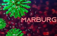 WHO thông báo về dịch Marburg ở châu Phi
