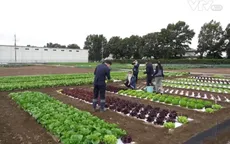 Bí quyết tạo ra các sản phẩm nông nghiệp chất lượng cao ở Nhật Bản