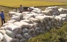 Thành lập nhóm hợp tác công tư ngành lúa gạo