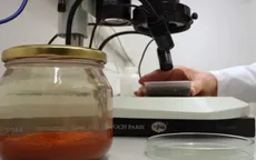 Tìm thấy kho gia vị quý hiếm 500 năm tuổi