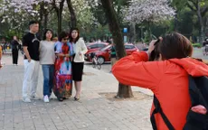 Mùa hoa nở rộ thợ ảnh kiếm tiền triệu mỗi ngày