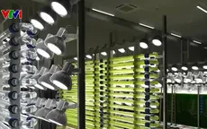 Biến CO2 thành nguồn tài nguyên hữu ích tại Nhật Bản