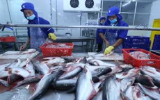 Đẩy mạnh xuất khẩu thủy sản qua cửa khẩu Móng Cái