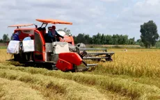 Ngân hàng Thế giới cam kết tham gia Đề án 1 triệu ha lúa chất lượng cao