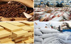 Nông nghiệp phát huy vai trò trụ đỡ của nền kinh tế