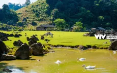 Sống chậm ở "làng nguyên thủy" Hang Táu, Mộc Châu