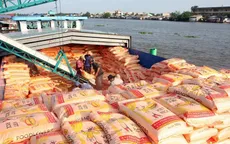 Xuất khẩu gạo, rau quả dự kiến lập kỷ lục mới