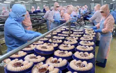 Xuất khẩu tôm khó cao như năm 2022