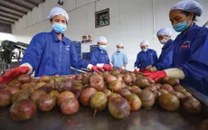 Xuất khẩu hàng hóa tăng hơn 2 tỷ USD