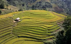 Gia tăng dịch vụ, thúc đẩy du lịch địa phương tại Mù Cang Chải