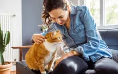 Bệnh Toxoplasmosis và những điều bạn cần lưu ý