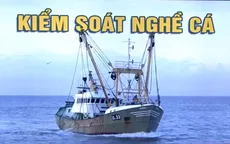 Phản ứng của ngư dân châu Âu trước các quy định mới