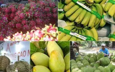 Xuất khẩu rau quả đạt kỷ lục gần 5 tỷ USD
