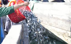 Tây Ninh: Gần 250.000 tôm, cá giống được thả để bảo vệ nguồn lợi thủy sản hồ Dầu Tiếng