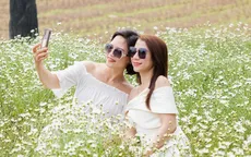 Hà Nội vào mùa cúc họa mi