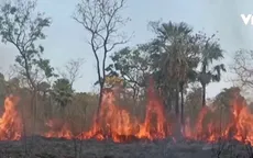 Bolivia tuyên bố tình trạng thảm họa vì cháy rừng