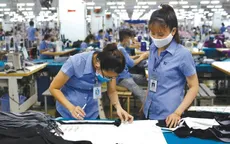 TP Hồ Chí Minh: Gần 77% người tìm việc làm có trình độ trên đại học