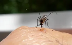 Bác sĩ da liễu giải thích nguyên nhân khiến một số người bị muỗi đốt nhiều hơn