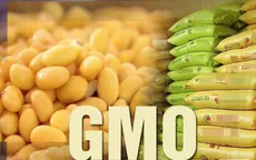 Thiếu minh bạch sử dụng nguyên liệu và thực phẩm biến đổi gene