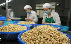 Bình Phước: Xuất siêu đạt gần 1 tỷ USD trong 9 tháng