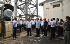 Xem xét xử lý dứt điểm Dự án Nhà máy bột giấy Phương Nam