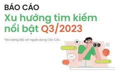 Người dùng Việt tìm kiếm gì nhiều nhất trên Cốc Cốc trong quý III/2023?