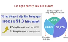 Quý III/2023: 51,3 triệu lao động có việc làm