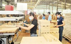 Dự kiến xuất khẩu gỗ đạt 15 tỷ USD