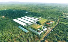 "Ai gây ô nhiễm, người đó phải trả tiền": Doanh nghiệp Việt và luật chơi "xanh hoá"