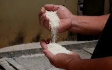 Giá lúa, gạo cùng tăng