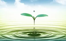 Cho phép đàm phán Hiệp định tài trợ Dự án cải thiện môi trường nước Bình Dương