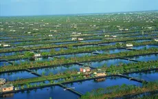 Nguy cơ suy thoái bờ biển tại Indonesia