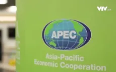 Việt Nam tích cực, chủ động đóng góp cho hợp tác APEC