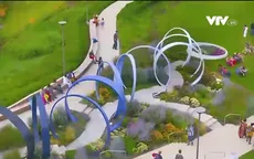 TP Hồ Chí Minh: Cải tạo bờ sông trồng hoa hướng dương