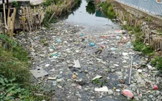 Môi trường sống ô nhiễm ở một xã thuộc Hà Nội có hơn 300 ca mắc sốt xuất huyết từ đầu năm 2023