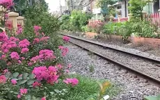 TP Hồ Chí Minh: Biến đường rác thành đường hoa