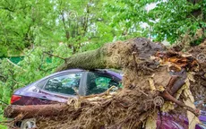 Ba người thiệt mạng khi bão hoành hành ở Siberia, Nga