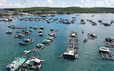 Kiên Giang và Na Uy tìm kiếm cơ hội phát triển nghề nuôi biển
