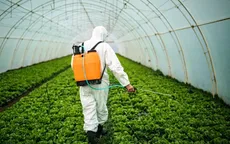 EU bác đề xuất cắt giảm sử dụng thuốc trừ sâu