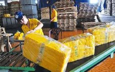 Có đơn hàng đến năm 2024, doanh nghiệp tăng tốc sản xuất