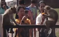 Mở tiệc cho khỉ để thu hút du khách tại Thái Lan