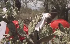 Biến xương rồng gai thành thực phẩm