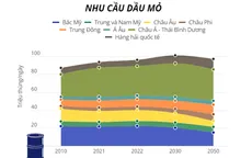 IEA: Nhu cầu nhiên liệu hóa thạch đạt đỉnh trong thập kỷ này