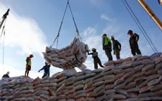 Indonesia ký hợp đồng nhập khẩu 1 triệu tấn gạo từ Việt Nam và 3 nước khác