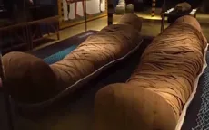 Bí ẩn mùi hương của những xác ướp